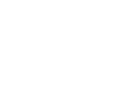 Tribunal Constitucional